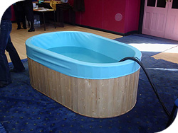 image of standard oval pool